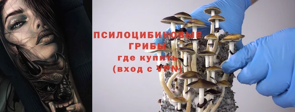 стафф Снежногорск